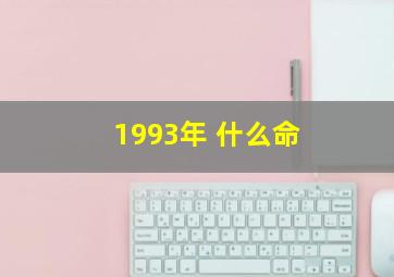 1993年 什么命